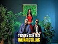 Hajnalcsillag