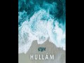 Hullám
