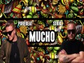 Mucho
