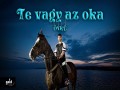 Te Vagy Az Oka
