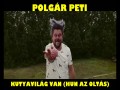 Kutyavilág Van