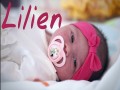 Lilien