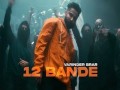 12 Bande