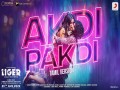 Akdi Pakdi