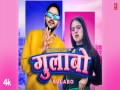 Gulabo