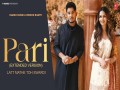 Pari Extended Version