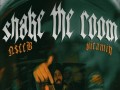 Shake The Room