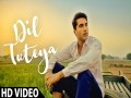 Dil Tuteya