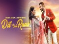 Dil Vale Raaz
