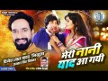 Meri Nani Yaad Aa Gai
