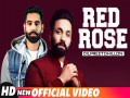 Red Rose