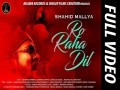 Ro Raha Dil