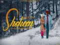 Shokeen