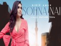 Sohna Nai