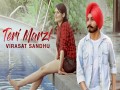 Teri Marzi