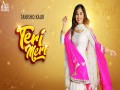 Teri Meri