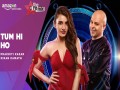 Tum Hi Ho (Remix)