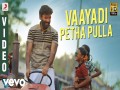 Vaayadi Petha Pulla