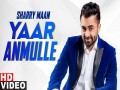 Yaar Anmulle