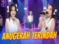 Anugerah Terindah