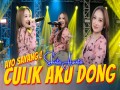 Ayo Sayang Culik Aku Dong