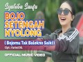 Bojo Setengah Nyolong