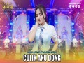 Culik Aku Dong