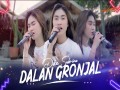 Dalan Gronjal