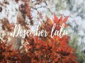 Desember Lalu