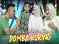 Domba Kuring