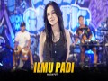 Ilmu Padi