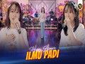 Ilmu Padi