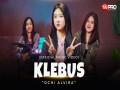 Klebus