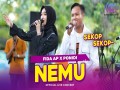 Nemu