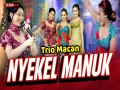 Nyekel Manuk