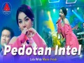 Pedotan Intel