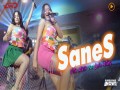 Sanes