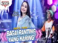 Bagai Ranting Yang Kering
