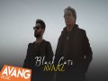 Avaaz