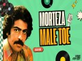 Male Toe