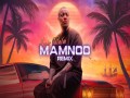 Mamnoo Remix