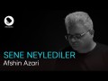 Sene Neylediler