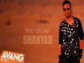 Too Delami
