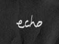 Echo