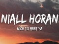 Nice To Meet Ya