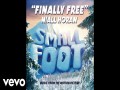 Small Foot