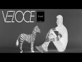 Veloce
