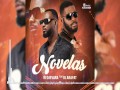 Novelas