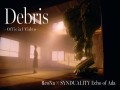 Debris