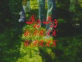 Warak Warak